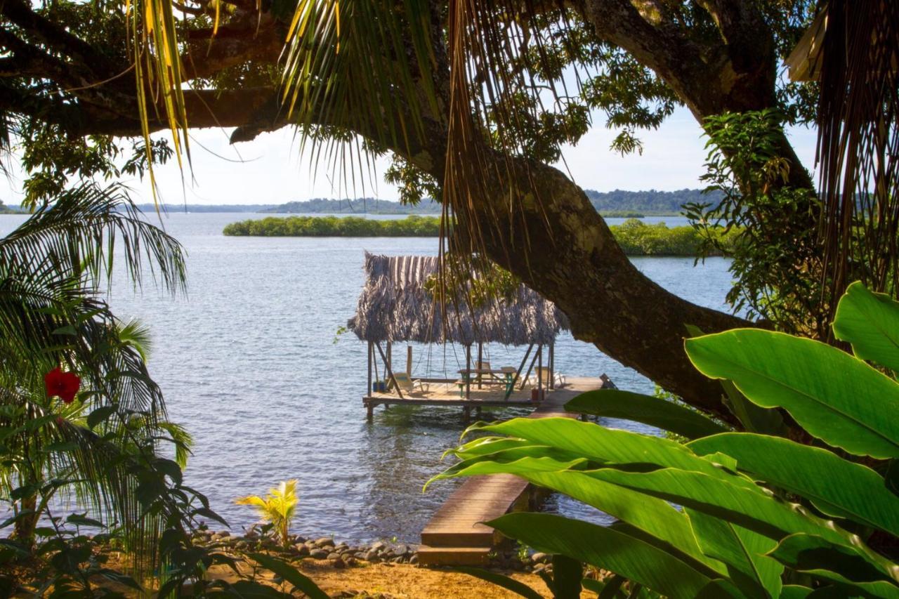 Los Secretos Guesthouse Bocas del Toro Extérieur photo